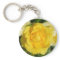 Beautiful yellow rose