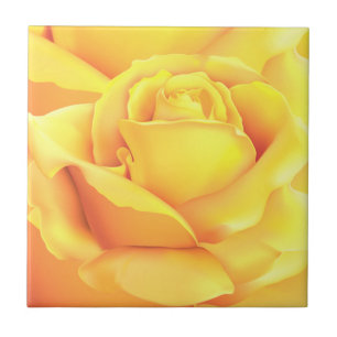 Beautiful Yellow Rose Tile