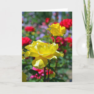 Beautiful yellow roses greeting card
