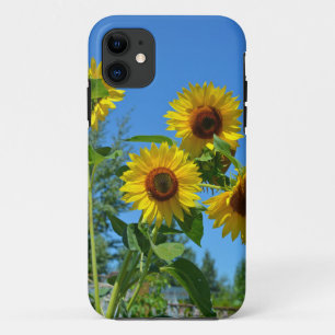 Beautiful yellow sunflowers iPhone 11 case