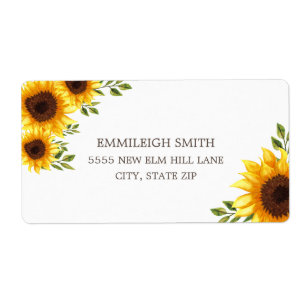 Beautiful Yellow Sunflowers White