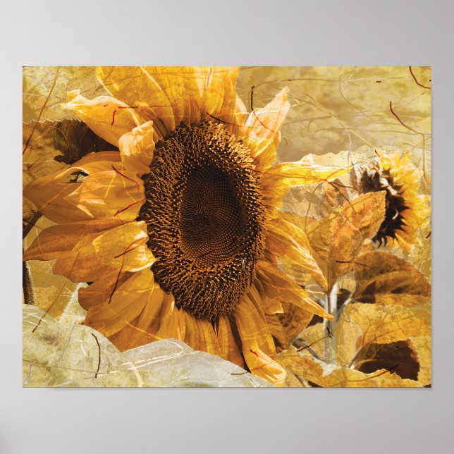 Beautiful Yellow Texture Giant Sunflower Photo Art Poster (Front)