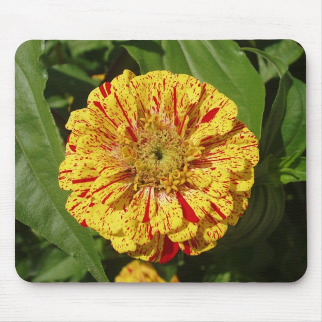 Beautiful Zinnia Mouse Pad (Front)