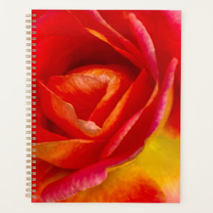 Beautifull Mardi Gras Rose Fine Art Pho Planner