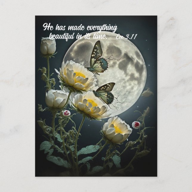 Beautifully and Wonderfully Made Postcard (Front)