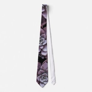 Beautifully patterned succulent plants tie