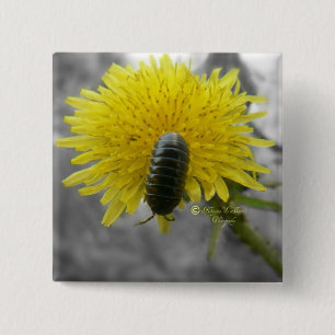 Beautifully Scary: Rolie Polie Flower 2 Inch Square Button