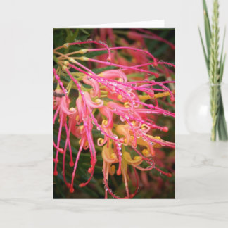 Beauty After the Rain.. Card