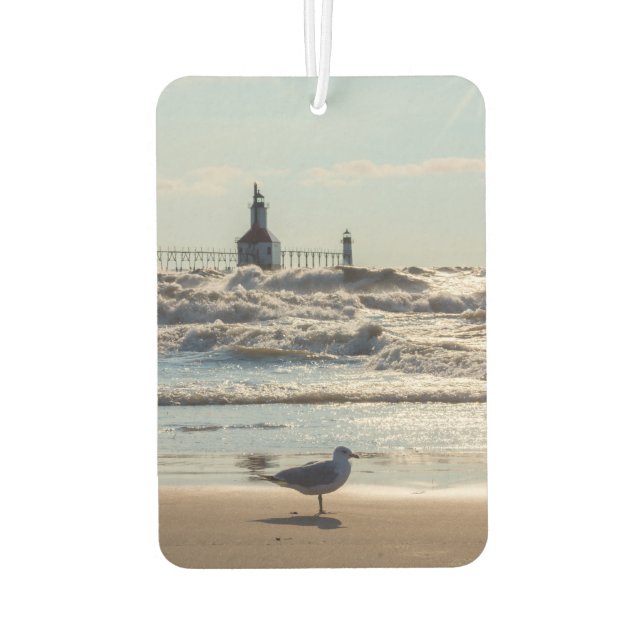 Beauty And Force Car Air Freshener (Back)