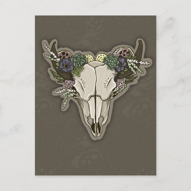 Beauty Boho Scull Postcard (Front)