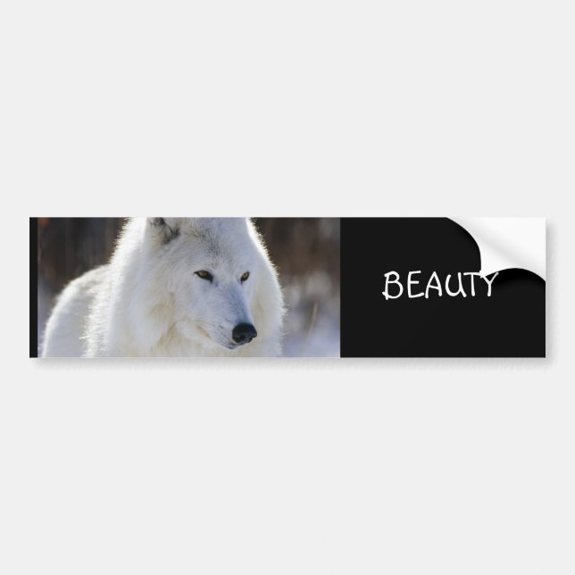 BEAUTY BUMPER STICKER (Front)