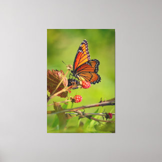 Beauty canvas print