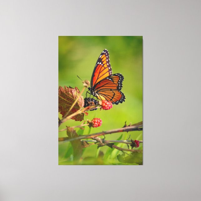 Beauty  canvas print (Front)