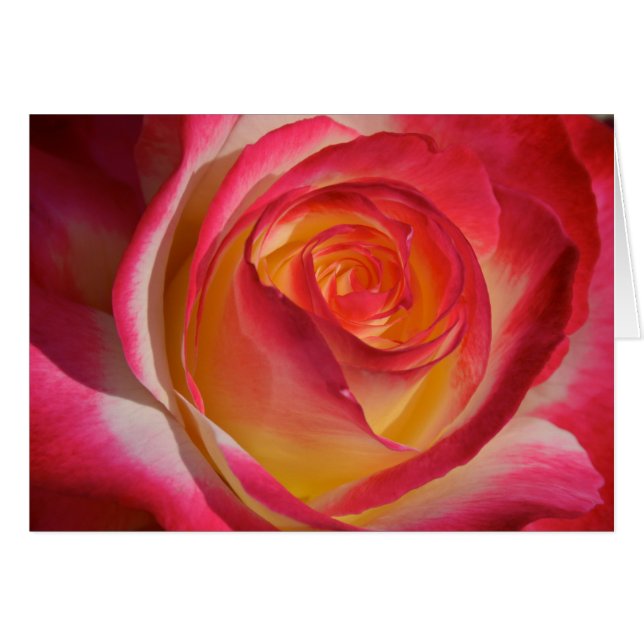 Beauty from Within (Front Horizontal)