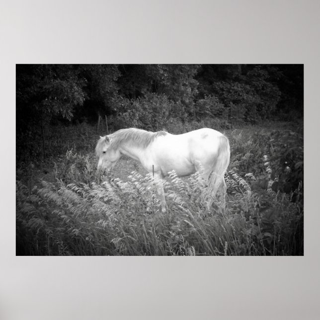 Beauty in Black & White Poster (Front)