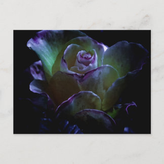 Beauty In Bloom Postcard