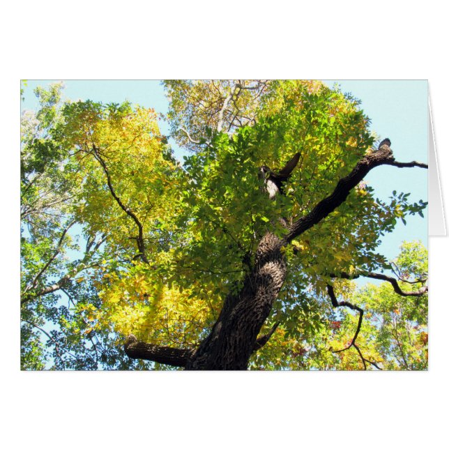 Beauty in NJ (Front Horizontal)