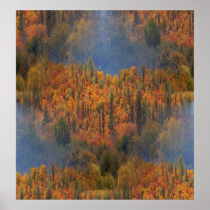 Beauty in the Fall.... Poster