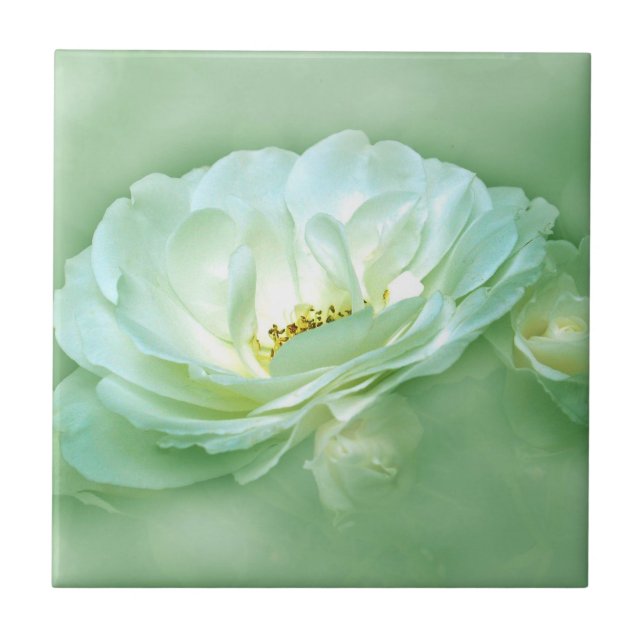 BEAUTY IN THE MIST - GREEN TILE (Front)