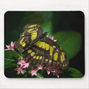 Beauty in the Stars Mousepad