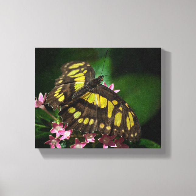 Beauty in the Stars Wrapped Canvas (Front)