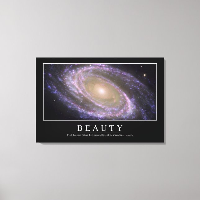 Beauty: Inspirational Quote 2 Canvas Print (Front)
