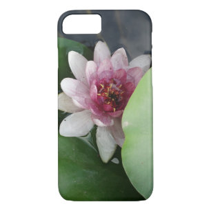 Beauty iPhone / iPad case