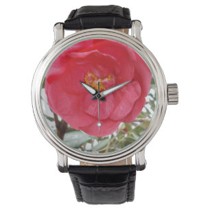 Beauty Is A Pink Camellia Flower, Watch