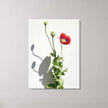 Beauty is also the Beast.