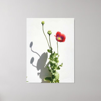 Beauty is also the Beast. Canvas Print