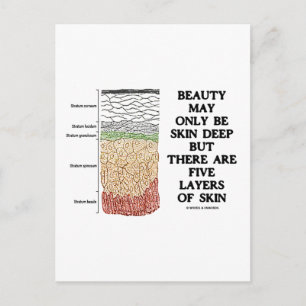 Beauty May Be Skin Deep But Five Layers Of Skin Postcard