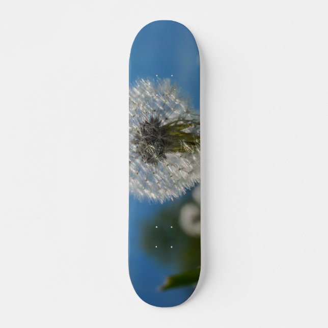 Beauty Of A Dandelion Skateboard (Front)