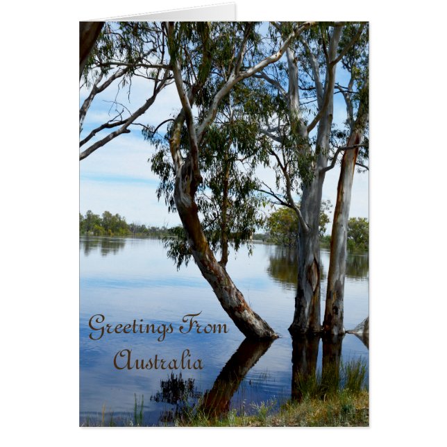 Beauty Of A Gum Tree Riverland Australia, (Front)