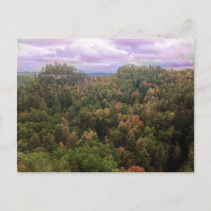 Beauty of Autumn Postcard