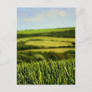 Beauty of life postcard