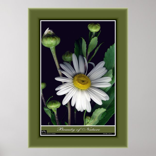 Beauty of Nature r/p12 Poster (Front)