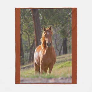 Beauty Of The Horse Fleece Blanket