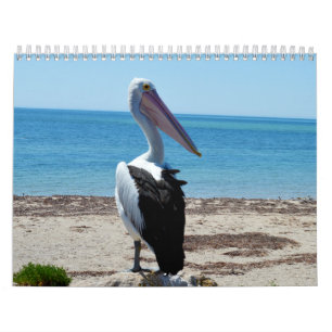 Beauty Of The Pelicans 2019, Calendar
