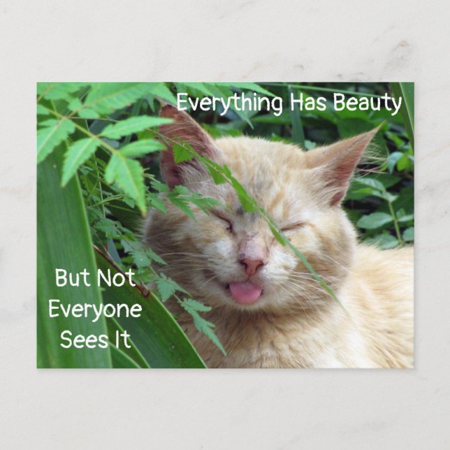 Beauty Quote Postcard - Starring Beast - Cat  (Front)