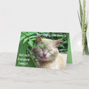 Beauty - Starring Beast The Stray - Greeting Card