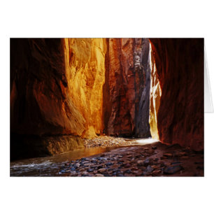 Beauty The Narrows Zion National Park Utah Blank