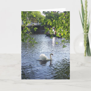 Beauty under the boughs card