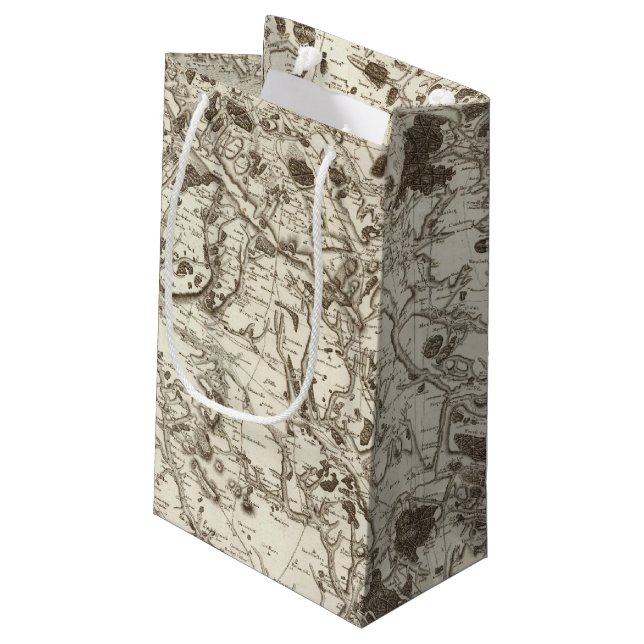 Beauvais Small Gift Bag (Back Angled)