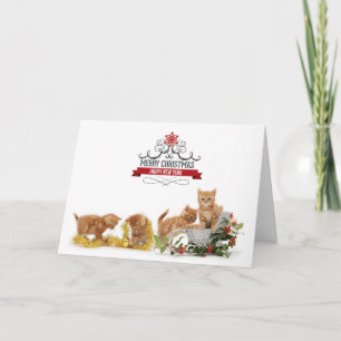 Beaux animaux chats Carte de Noël
