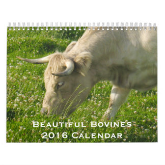 Beaux bovins calendrier de 12 mois pour 2016