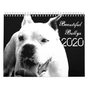 Beaux Bullys Calendrier des Chiens 2020