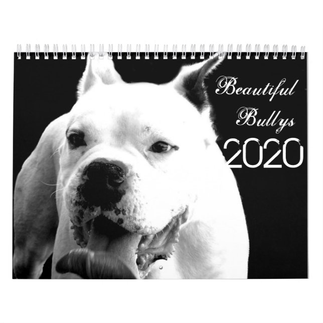 Beaux Bullys Calendrier des Chiens 2020 (Protection)