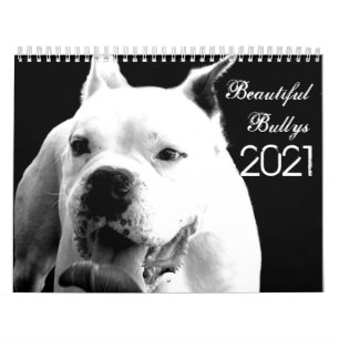 Beaux Bullys Calendrier des Chiens 2021