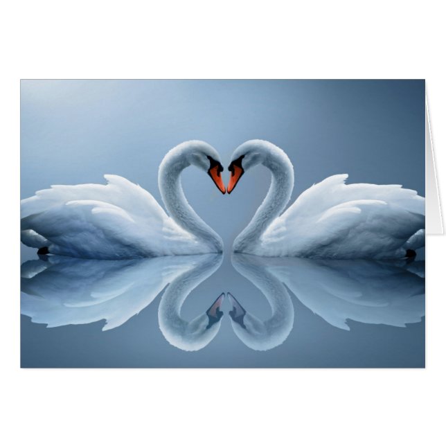 Beaux cadeaux de Cygnes d'Amour (Devant horizontal)