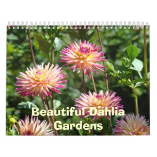 Beaux calendriers de jardins de dahlias Photos flo